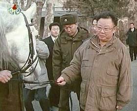 North Korean leader Kim Jong-il looks at one of three horses sent by Russian President Vladimir Putin