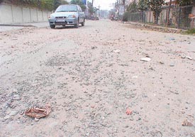 A road in Model Town, Ludhiana, work on which was abandoned