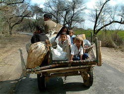 Residents of Jandwala Meerasangla village, Ferozepore, shift to safer places