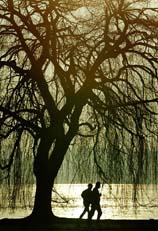 Two runners enjoy the morning sun 