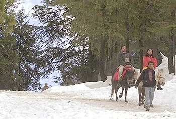 Tourists enjoy horseride at Kufri