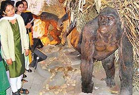 Students going around the Museum of Man in the Department of Anthropology