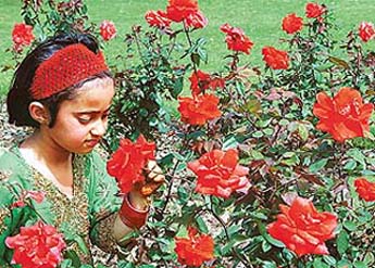 When innocence charms