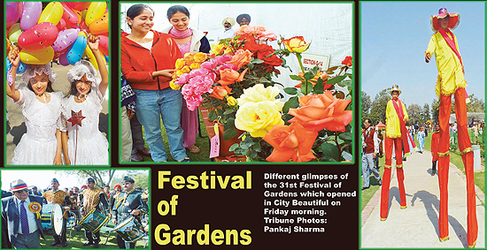 Different glimpses of the 31st Festival of Gardens which opened in City Beautiful
