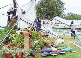 Flattened tents at the venue of Festival of Gardens in Sector 16 as an early morning storm