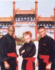 Fight School: Combat series