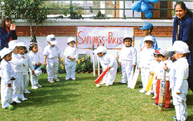Budding Sachins of Saplings Nursery School, inspired by the Little Master�s performance