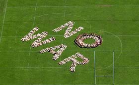 Over 300 nude women protesters spell out "no war" during an anti-war demonstration in Sydney