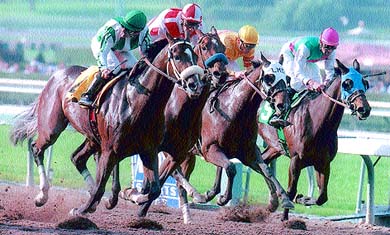 A neck-and-neck race for the top honours