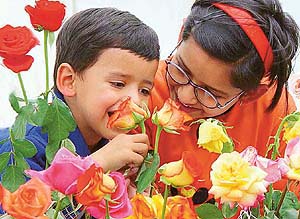 Tiny tots admire roses at the 17th Spring Fest Flower Festival being organised by HUDA at Town Park, Sector 5, Panchkula, on Saturday.