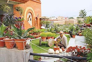 Constraint of space did not deter Dr. Sanjay Kalra�s passion for the greens