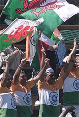 Indian cricket fans cheer during India's match against Sri Lanka