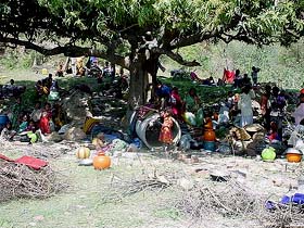 Labourers, who were dispossessed from their jhuggies by a fire that broke out on Sunday, take shelter under a mango tree