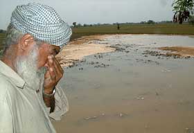 Joginder Singh, a farmer, fails to control his tears on seeing his near ripe wheat crop damaged 