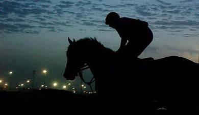Bill Mott trained Blue Burner from the US is silhouetted against the sky during a work out 