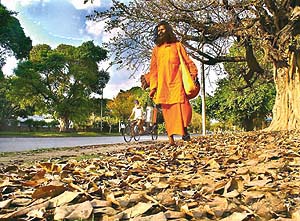 The pilgrim�s progress