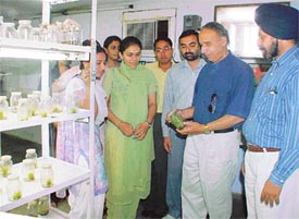 Dr B.S. Ahloowalia, Visiting Professor at the PAU, talks to students in Ludhiana on Tuesday.