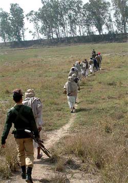 Farmers from border villages of Punjab, protected by BSF jawans, go to their fields