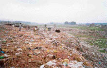 Countless heaps of garbage and plastic bags in the bed of the Bhangi choe