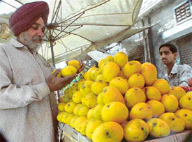 WHICH OF THESE IS THE ‘KING’?