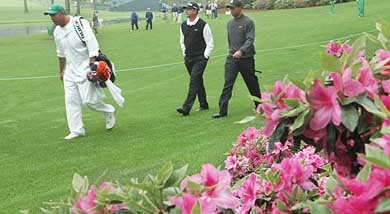 Defending Masters champion Tiger Woods and his playing partner John Cook walk past a bed of blooming azaleas 