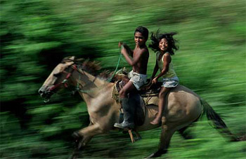 A young boy and girl race alongside a freight train as it moves through the verdant southern Mexico countryside