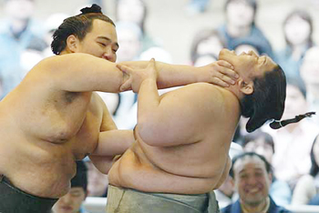 Japanese sumo wrestlers in action at Yasukuni Shrine in Tokyo 