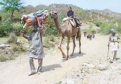 This is no Rajasthan. In fact, the place is just a few miles away from Chandigarh.