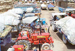 Farmers from the region throng the city�s Sector 26 market with vegetables loaded on tractor-trailers 