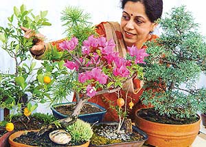 In the company of nature