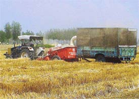 A straw reaper in action in Miani village despite the orders of the District Magistrate