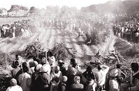 Dabwali revisited: Memories of the horror and the pain still linger