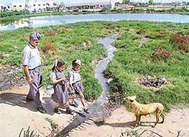 Waste water from houses forms a pool near a school in Kharar