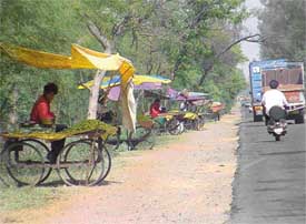 Ber vendors beckon commuters on the Ludhiana-Ferozepore National Highway