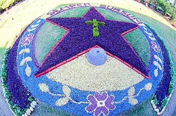 Iresin has been combined with duranta to create out this plant logo on the ground