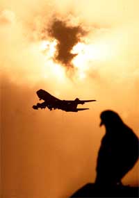 A pigeon sits on top of a building as a plane flies past at sunrise