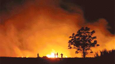 Ecological concern goes up in smoke