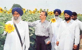 Farmers of Samrala block along with officials of the PAFC, inspect the sunflower crop at Seh village