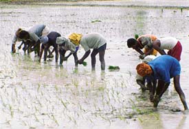 This should have been done after June 10