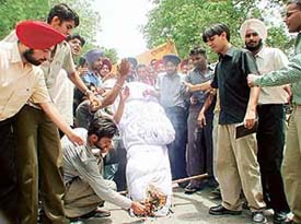 Activists of the ABVP burn an effigy of the Punjab Government and Panjab University in protest against the proposed fee hike in Chandigarh on Wednesday.