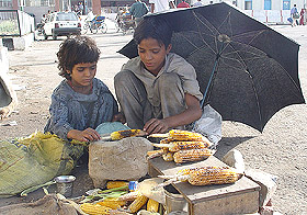 Children sell 'corn' under scorching sun in Ambala on Thursday.