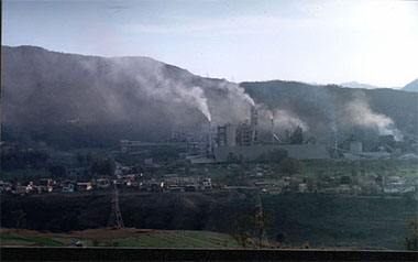 The ACC cement plant pollutes the environment