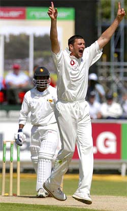 England's Steve Harmison successfully appeals for LBW
