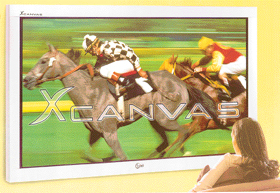 A  plasma TV can be hung on the wall like a photograph