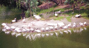 Happy in each other’s company