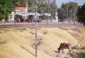 Mounds of wheat chaff for the drought-affected districts of Rajasthan lying at a platform of the Malerkotla railway station
