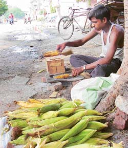 �Bhutta� sellers are a common sight in Ludhiana