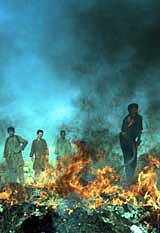 Afghan policemen burn 500 kg of narcotics