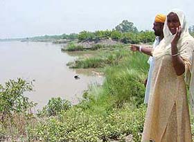 Ms Dhayan Kaur, sarpanch of Dhulewal village, shows a vulnerable site along the Dhussi bundh in Ludhiana