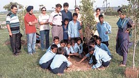 Planting saplings for a greener tomorrow.